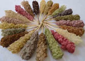 بسته بندی نبات گیاهی