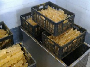 نبات بسته بندی و فله