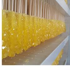 نبات چوبی بسته بندی قیمت عمده