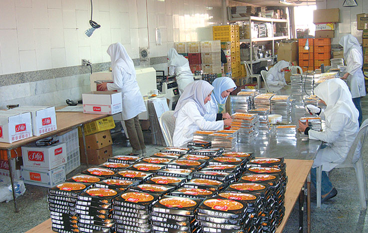 صادرات نبات چوبی