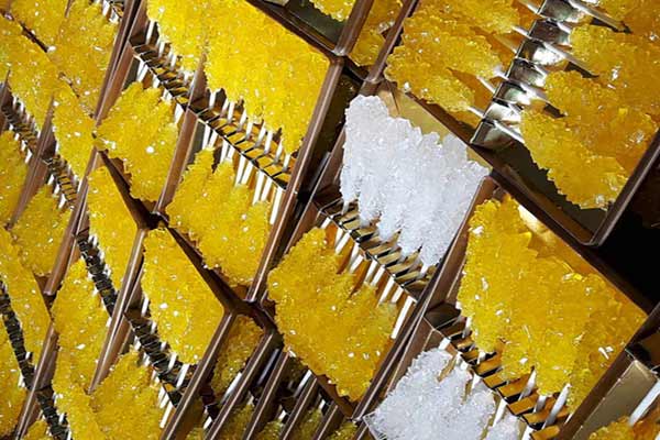 صادرات نبات چوبی