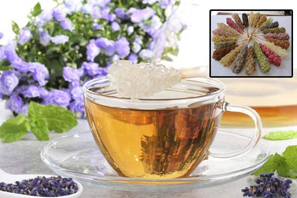 انواع نبات گیاهی