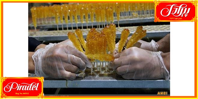 فروش عمده نبات تک نفره بهترین قیمت